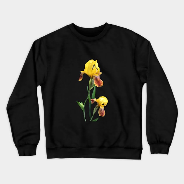 Bearded iris Crewneck Sweatshirt by Dillyzip1202